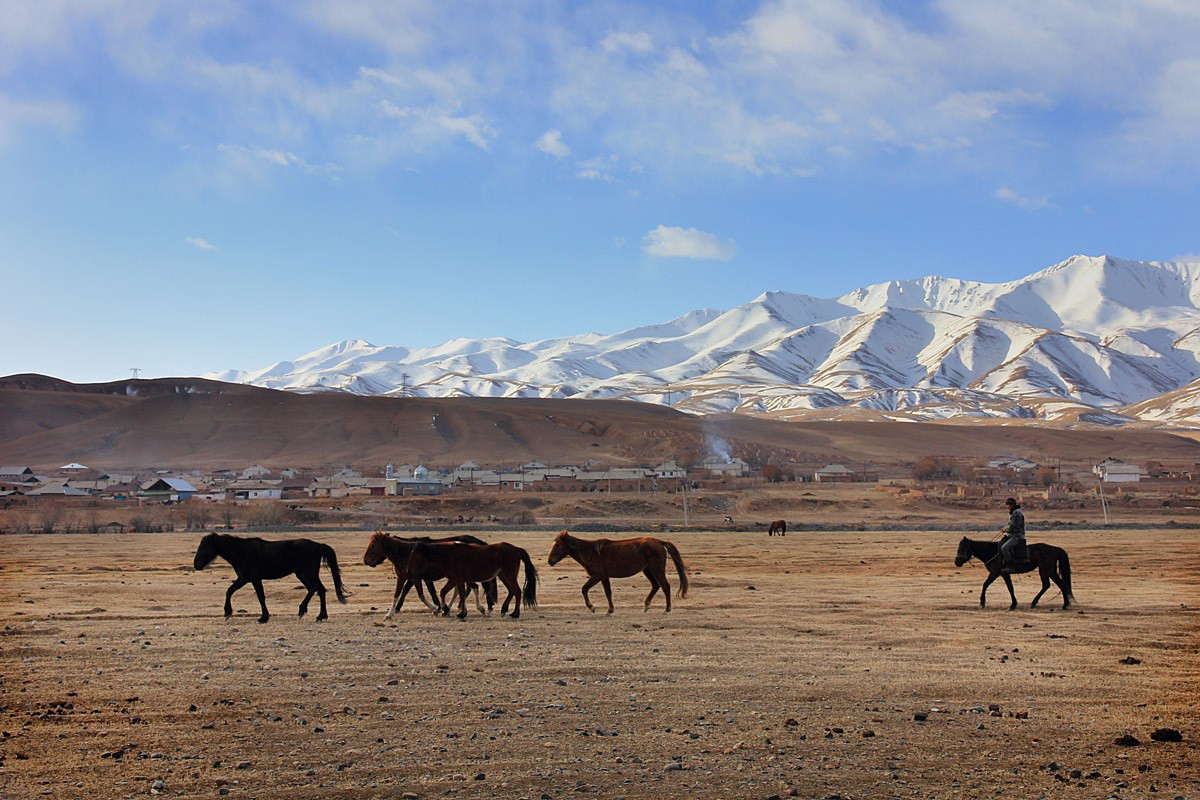 Kirghizstan. Des chevaux et des hommes.